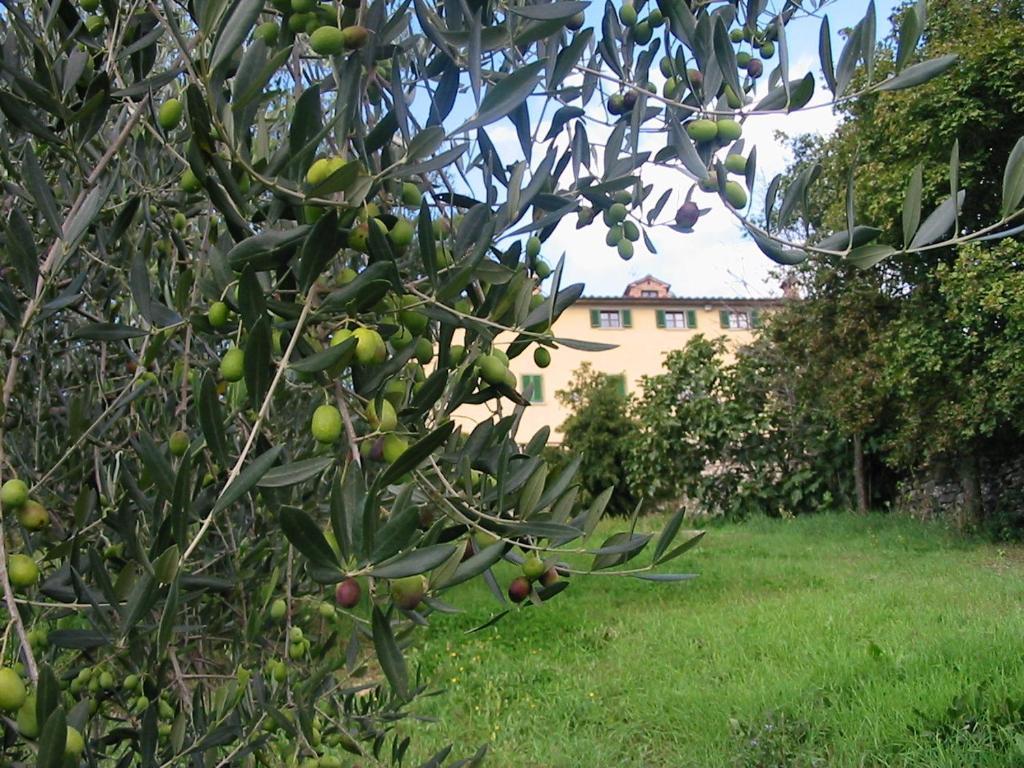 Hotel Relais Palazzo Di Luglio Sansepolcro Exteriör bild